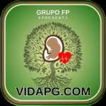 vidapg Official v3.4.5